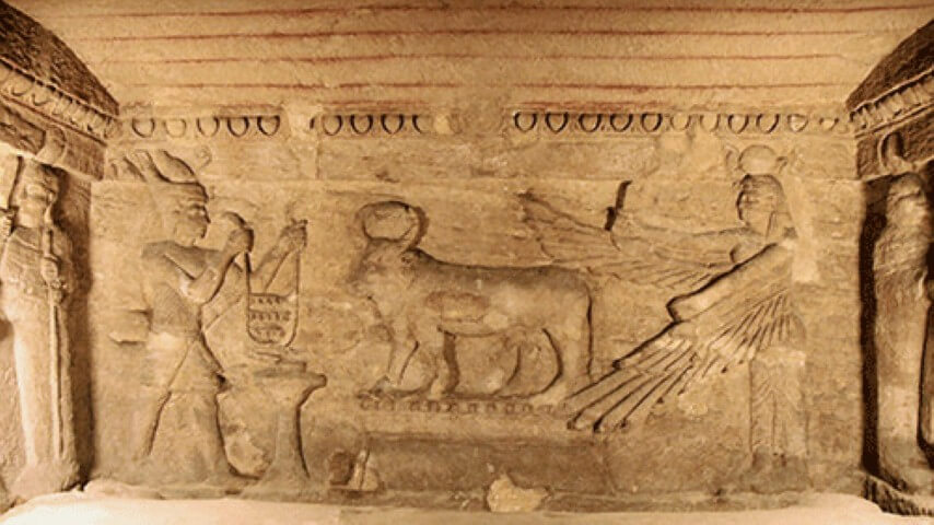 Alexandria Stadtrundfahrt von Alexandria Hafen